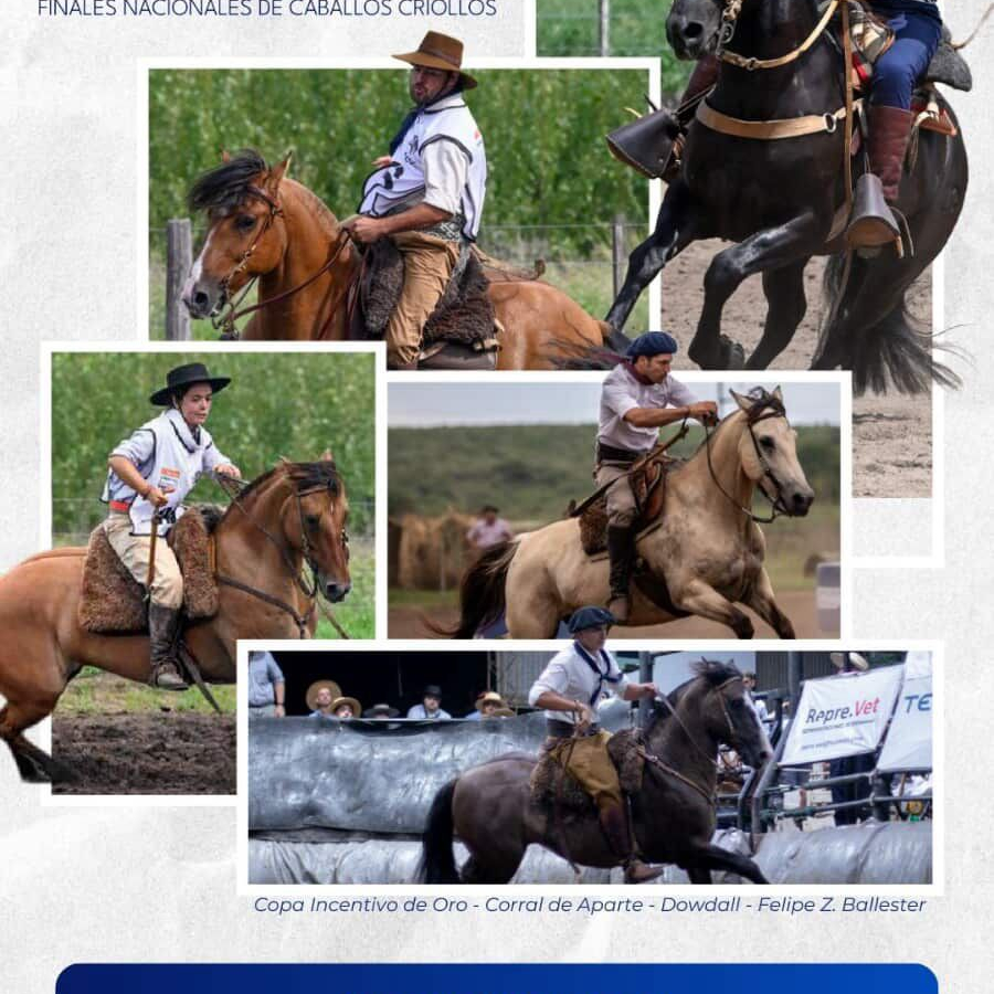 Evento "Cumbre de Campeones 2026" Finales de Caballos Criollos