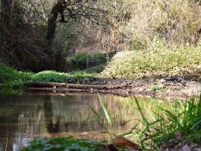 Reserva Natural Parque del Oeste